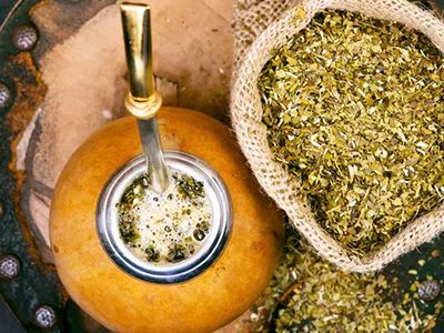 Yerba Mate